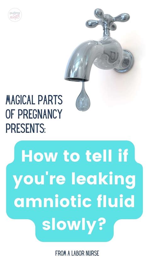 how to tell if leaking amniotic fluid|Leaking amniotic fluid (premature rupture of membranes)